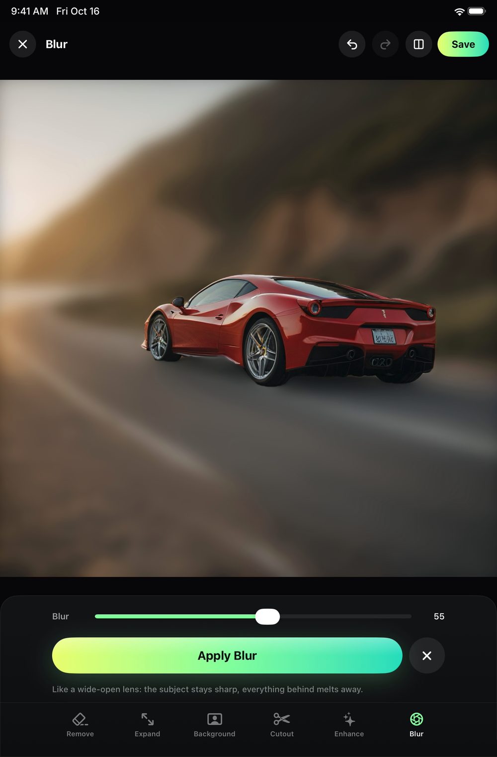 Blur: the background melted, the subject crisp